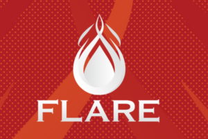 【FLAREシステム】暗号通貨運用システムのご紹介 SalaryPlus